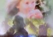 close-encounters-with-faery-realms-152 Voices of the Forest DVD on Fairies in new Zealand by Gary Cook