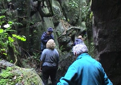 gary-cook-many-days Ancient stone walls, NZ