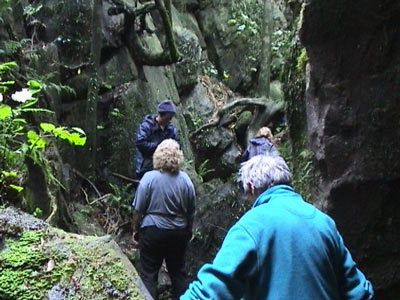 Ancient stone walls, NZ