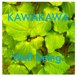 Kawakawa for Wellbeing mp3 cover